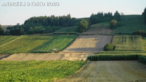 Claas Dominator 78s.