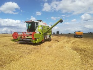 Claas dominator 88s