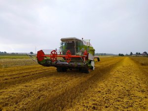 Claas Dominator 96