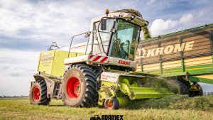 CLAAS JAGUAR 850 SPOTKANY W MECKLENBURG VORPOMMERN