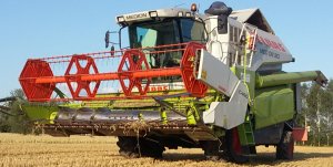 Claas Medion 310