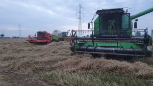 Claas Medion 330 & 2x Deutz Fahr