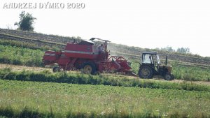 Massey Ferguson 186