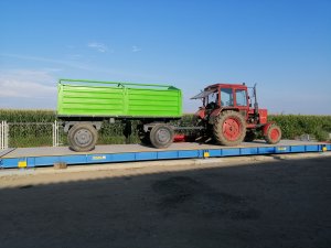 Mtz 82 & Przyczepa dwuosiowa