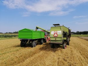 Mtz 82 i Przyczepa dwuosiowa & Claas Consul