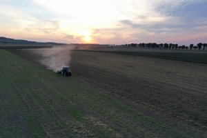 Niszczenie samosiewów