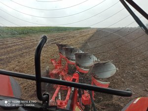 Orka pod rzepak 2021