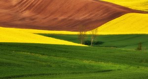 Pofalowane wiosenne pola