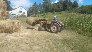 Ursus C-360 3P i Tur