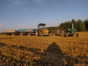 Ursus C-360 i Ursus C-4011