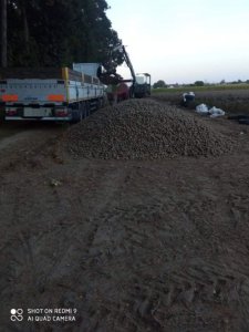 Załadunek ziemniaków