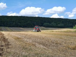 Case 956xl I Bomet 2.7