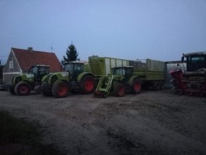 Claas Axion & Claas Axos & Claas Jaguar