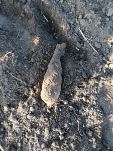 Granat moździerzowy 