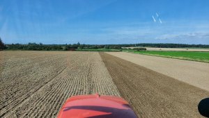 jęczmień ozimy kws higgins 24.09.2021