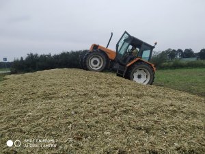 Kiszonka z Kukurydzy i Renault