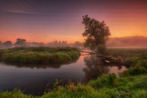 łąka nad rzeką Wierzycą w okolicy Gniewa na Kociewiu