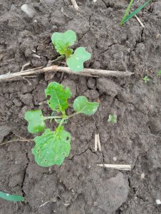 LG architekt 17.09.2021