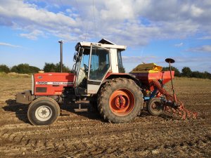 Massey Ferguson 3050 & Accord 