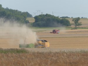 New Holland TC5.80 | Bizon Z056