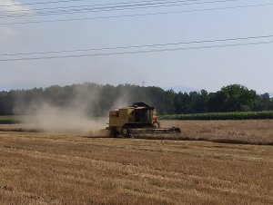 New Holland TX 36