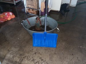 Podtopione gospodarstwo