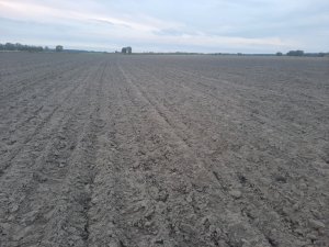 Pole przed siewem 