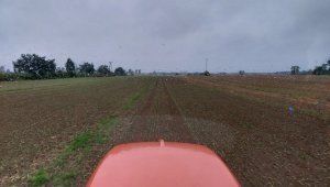 rzepak LG architekt 18.09