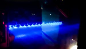 Rzepak ozimy LG Ambassador - 25.09.2021