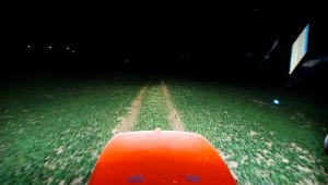 Rzepak ozimy LG Ambassador - 25.09.2021