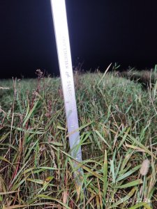 rżysko po gryce w ekologii