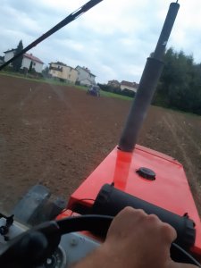 Siew pszenicy euforia 