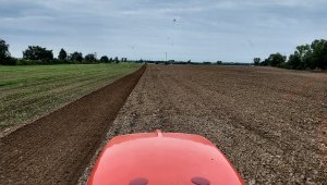 Siew pszenicy ozimej - 25.09.2021