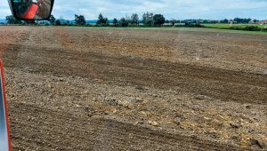 Siew pszenicy ozimej - 25.09.2021