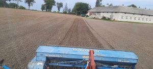 Siew pszenicy ozimej 