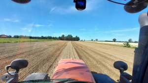 siew rzepaku LG ambasador 05.09.2021