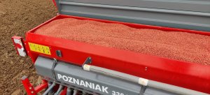 Siewy 2021 - Pszenica Rotax 