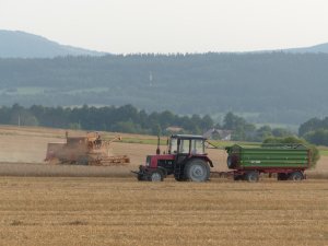 Bizon Z056 | MTZ Belarus 820 | Pronar T653/2
