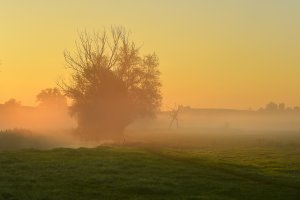 Świt na kociewskich  łąkach  w okolicy Gniewa