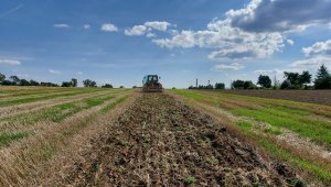 Uprawa ścieżek technologicznych