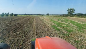 Uprawa ścieżek technologicznych