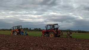 Ursus C-360 + Landsberg & Ursus C-360-3P + Brenig