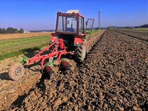 Ursus c360 & Vogel noot 