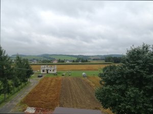 Widok na okolicę
