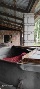 Zaprawiarka do zboża 