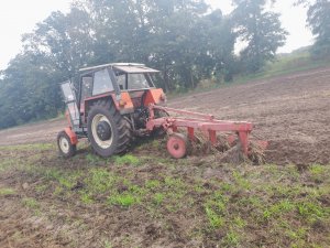 Zetor 8011+pług 4 