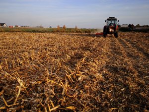 Massey Ferguson & SaMASZ KANGO 140