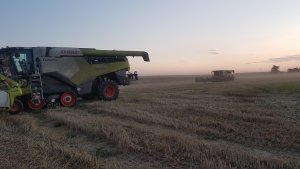 2x Lexion 8900 