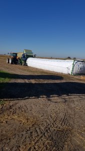 Kukurydza w rękawie