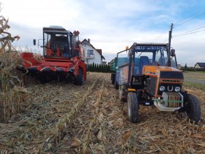 Bizon Rekord Z058 & Ursus 912